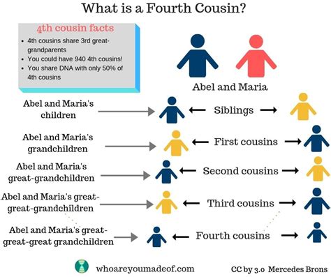 dating a 4th cousin